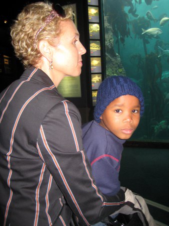 aquarium004
