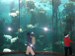 aquarium022